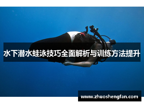 水下潜水蛙泳技巧全面解析与训练方法提升