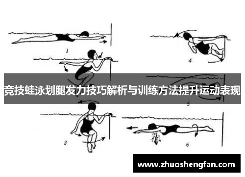 竞技蛙泳划腿发力技巧解析与训练方法提升运动表现