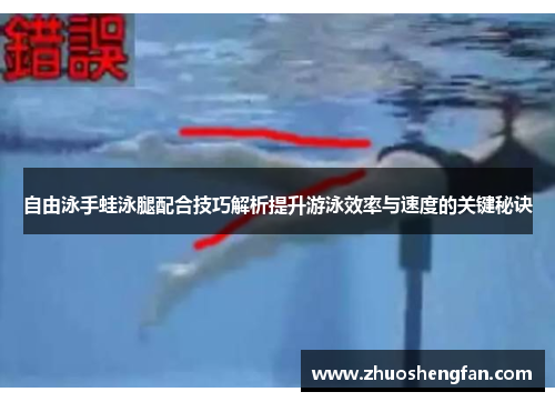 自由泳手蛙泳腿配合技巧解析提升游泳效率与速度的关键秘诀